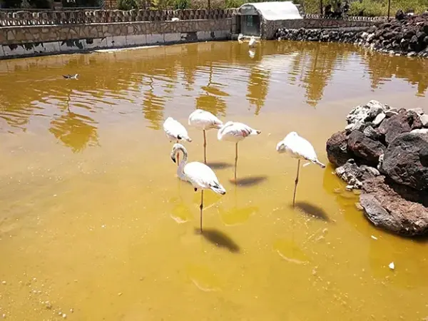 باغوحش همدان